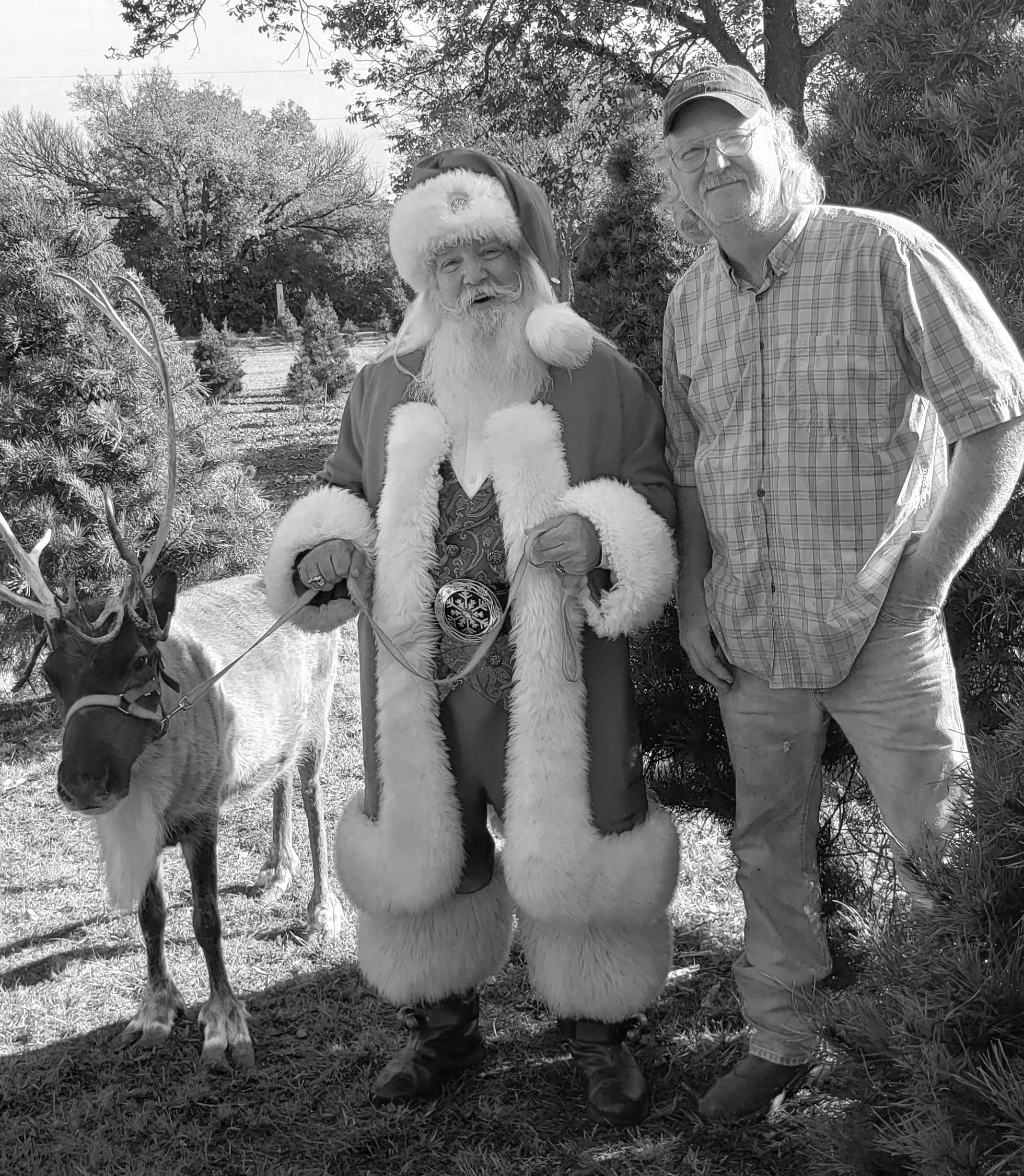 Photos — Sunset Hill Tree Farm